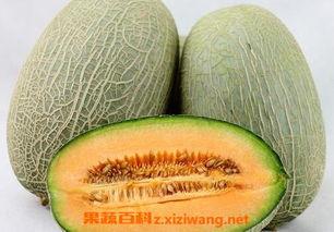 吃哈密瓜超香怎么办呢视频,如何优雅应对超香挑战？