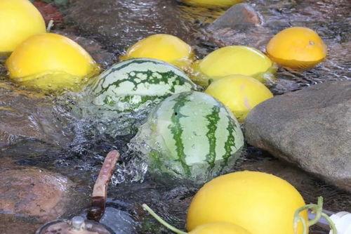 大城吃瓜视频真实