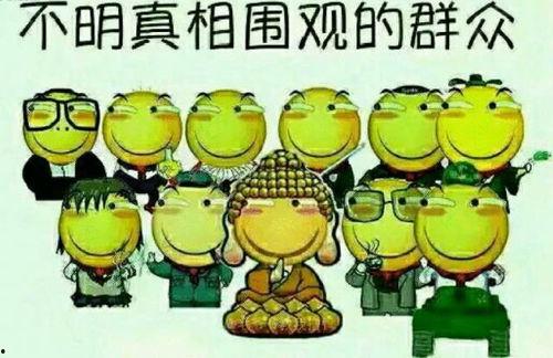 吃瓜群众刘小天视频,揭秘娱乐圈幕后真相