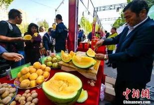 青州最新吃瓜事件视频,揭秘当地最新热点视频背后的真相