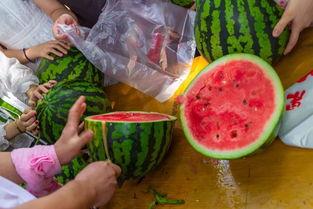 科大学吃瓜视频,揭秘校园热点事件背后的真相