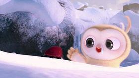 吃瓜的过程搞笑视频,一场吃瓜盛宴的欢乐演绎