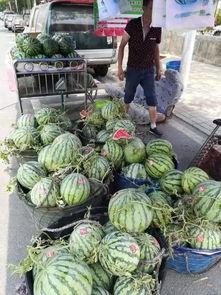 武都网红吃瓜事件视频曝光,视频曝光引发网友热议