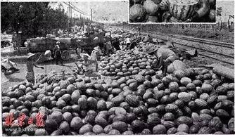 老北京吃瓜视频